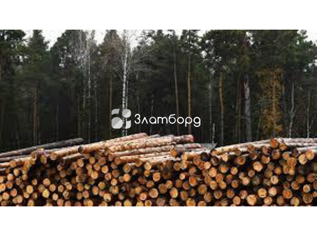 Организация закупает круглый лес пиловочник., Иркутск
